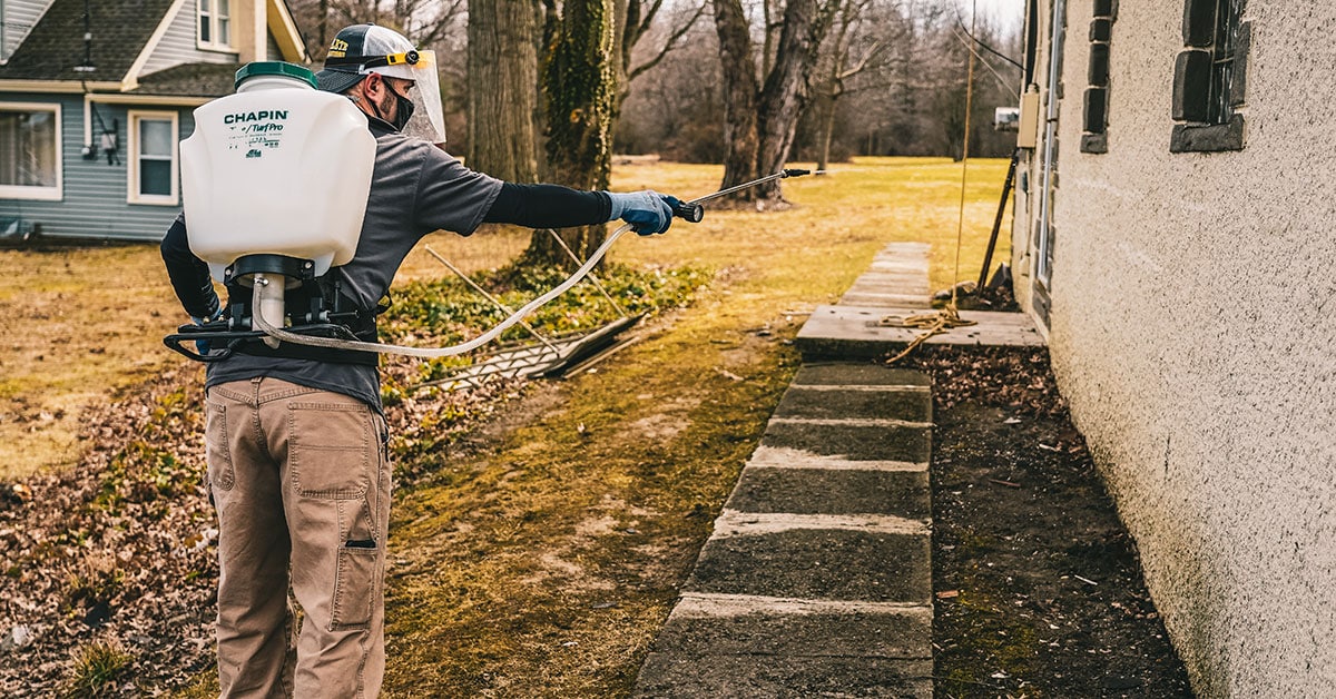 Pest Control DIY or Hire a Professional Exterminator?