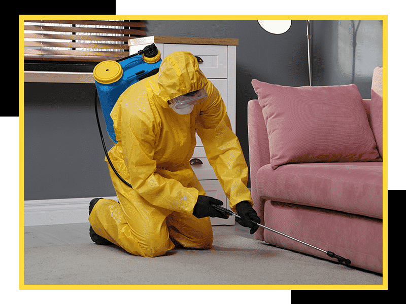 A man doing pest control in a client’s living room under a couch.