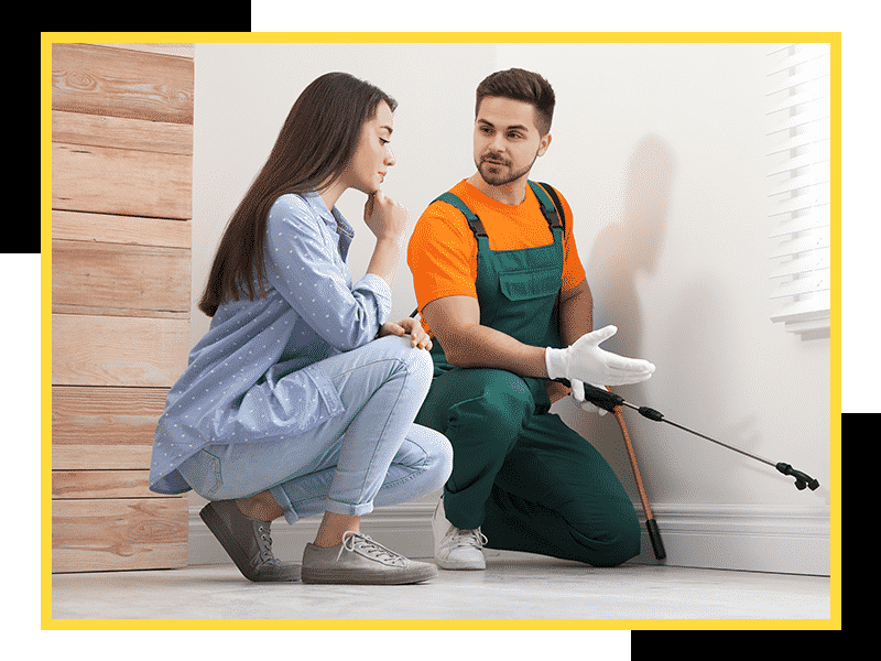 A pest control technician talking to the client about the service process.