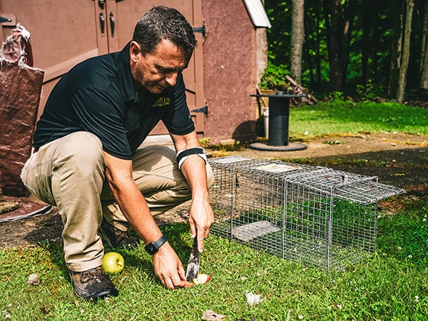 Complete Pest Solutions Employee setting a trap for wildlife pest