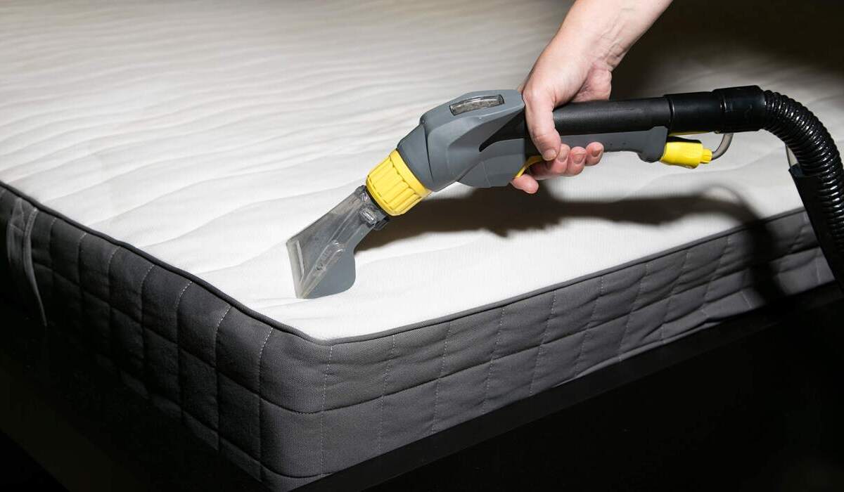 vacuuming bed bugs