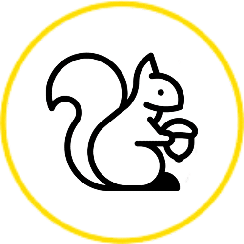 squirrel icon