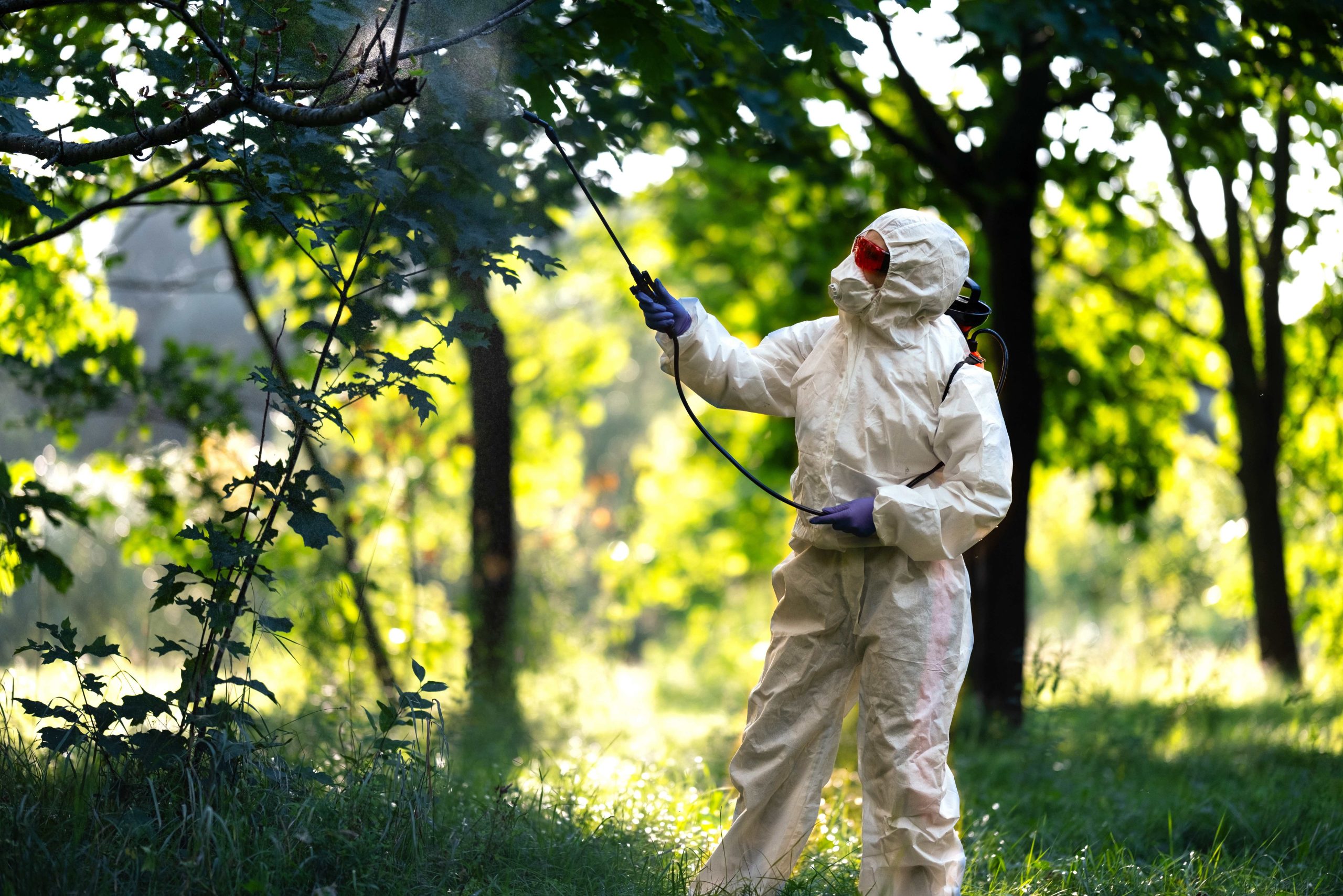 Preparing Your Home for Spring: Pest-Proofing Tips – Complete Pest ...